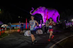 BIB: 
                            <button type="button" onclick="openModal(26552154)" class="btn btn-primary btn-sm float-right btn-popup" data-toggle="modal" data-target=".modal-high-quality">
                        <i class="fas fa-shopping-cart"></i> Add to Cart
                    </button>
                                            <button type="button" onclick="isThisMe(26552154, true)" class="btn btn-success btn-sm float-right btn-popup btn-isme hidden" data-toggle="tooltip" data-placement="bottom" title="นี่คือรูปของคุณใช่ไหม คลิกที่นี่เพื่อเอาเข้าอัลบั้ม">
                        <i class="fas fa-plus"></i> Add to album
                    </button>
                    <button type="button" onclick="isThisMe(26552154, false)" class="btn btn-warning btn-sm float-right btn-popup btn-isnotme hidden">
                        <i class="fas fa-ban"></i> Remove from album
                    </button>